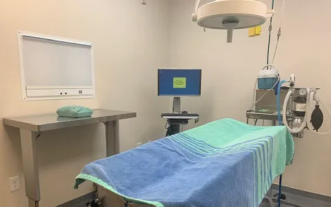 VCA Palmetto Animal Hospital Picture 3