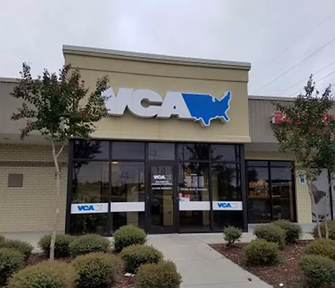VCA Palmetto Animal Hospital Picture 6