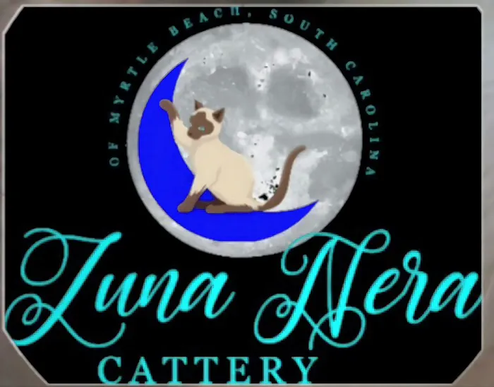 Luna Nera Cattery Picture 6