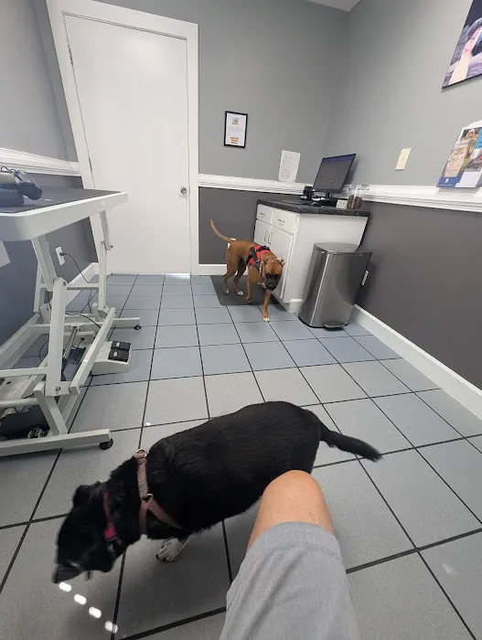 Banfield Pet Hospital Picture 1