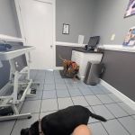 Banfield Pet Hospital