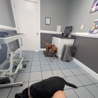 Banfield Pet Hospital ico