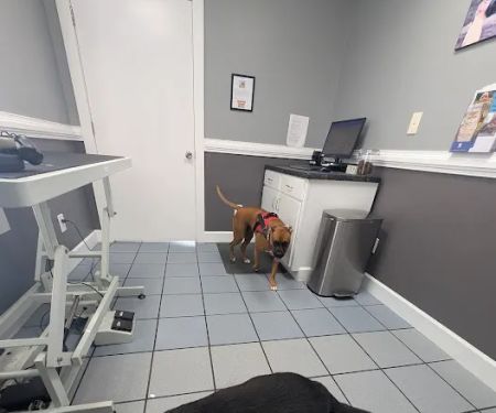 Banfield Pet Hospital