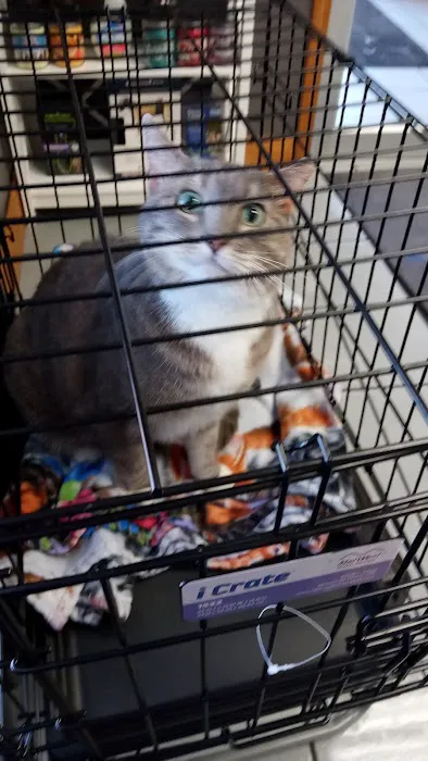 Banfield Pet Hospital Picture 2