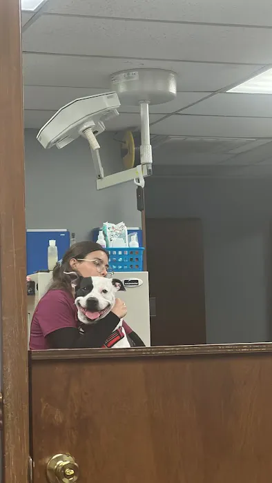 Banfield Pet Hospital Picture 4