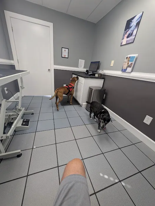 Banfield Pet Hospital Picture 5