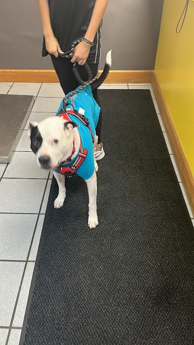 Banfield Pet Hospital Picture 6