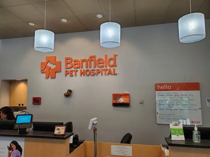 Banfield Pet Hospital Picture 10