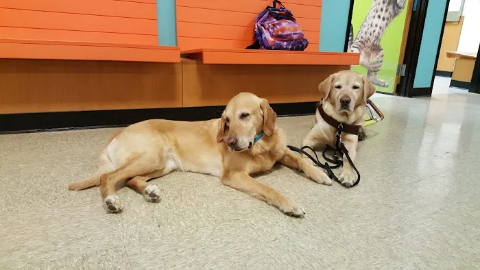Banfield Pet Hospital Picture 9