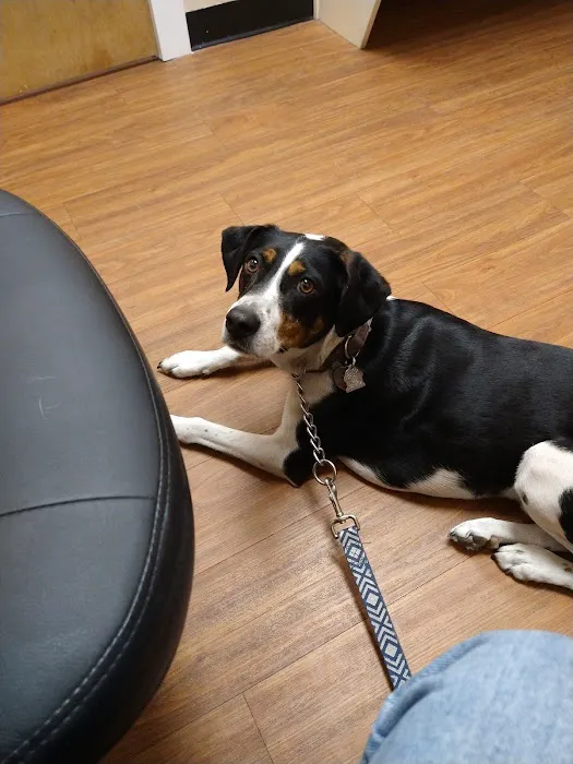 Meadowlawn Animal Services at Myrtle Beach Picture 1