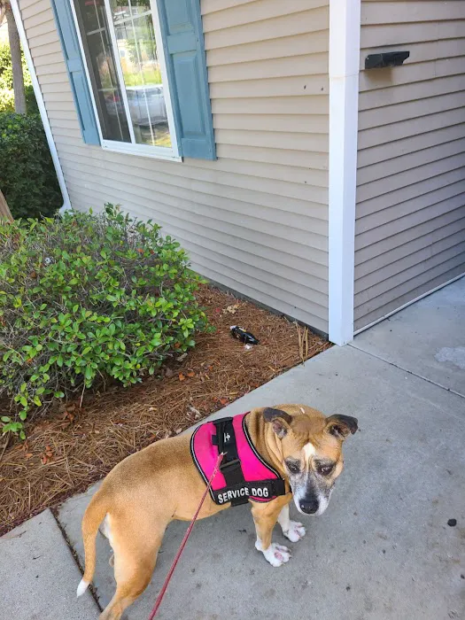 Meadowlawn Animal Services at Myrtle Beach Picture 5