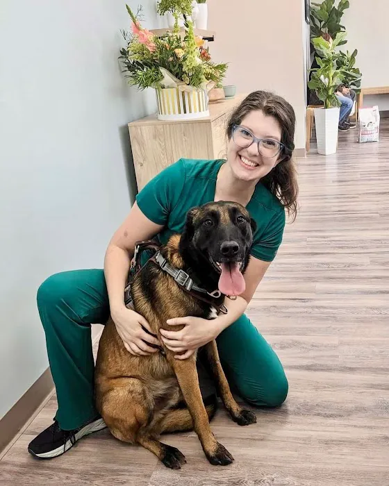 Hometown Veterinary Partners Myrtle Beach Picture 4