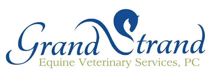 Grand Strand Equine Picture 2