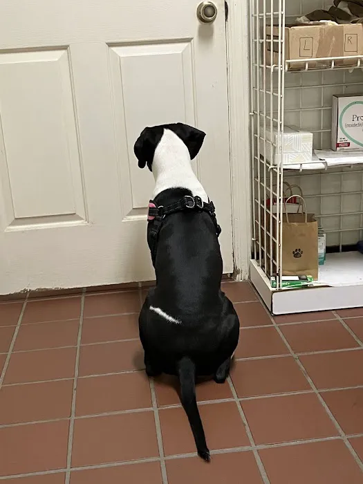 Altman Animal Hospital Picture 3