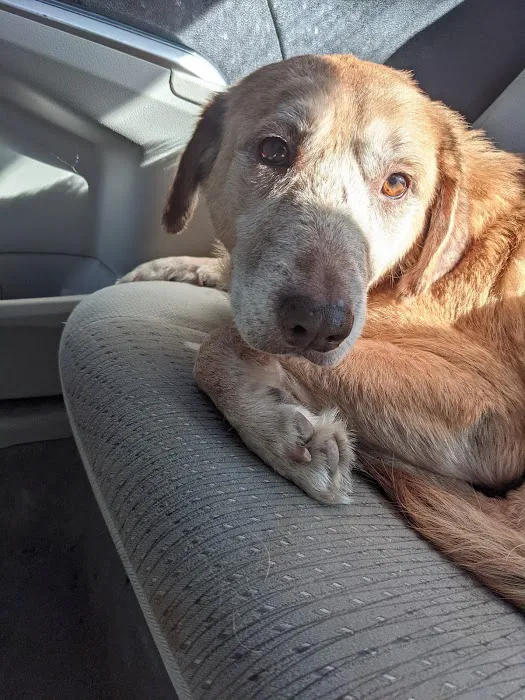 Altman Animal Hospital Picture 1