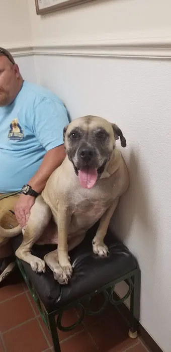 Altman Animal Hospital Picture 6