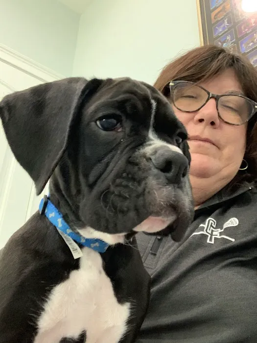 Kelley Animal Hospital Picture 1