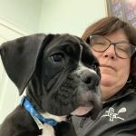 Kelley Animal Hospital