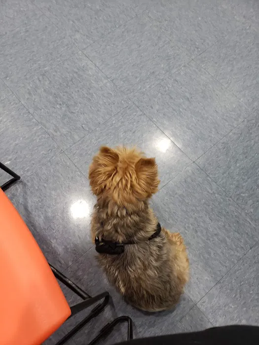 Kelley Animal Hospital Picture 5