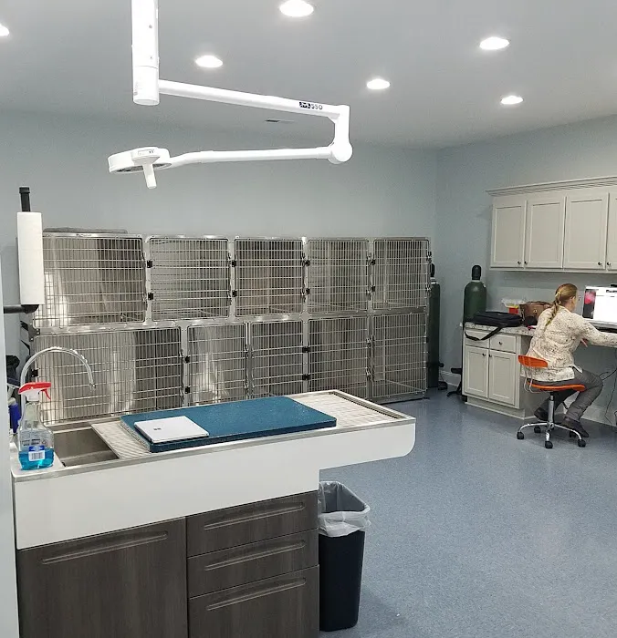 Kelley Animal Hospital Picture 7