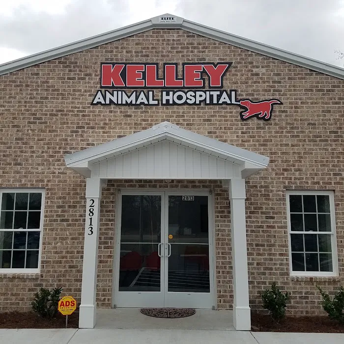 Kelley Animal Hospital Picture 9