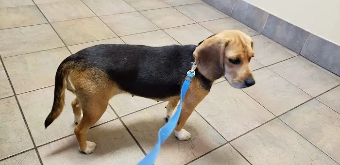 Baird's Animal Hospital Picture 1