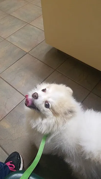Baird's Animal Hospital Picture 4