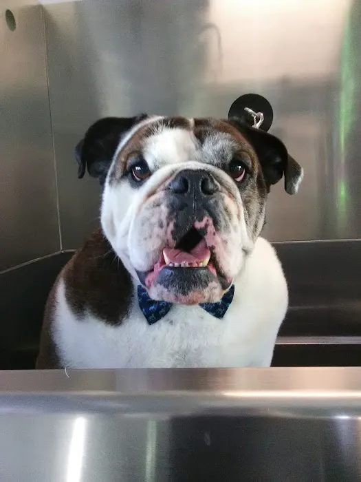 Southeastern Veterinary Hospital Pa Picture 6