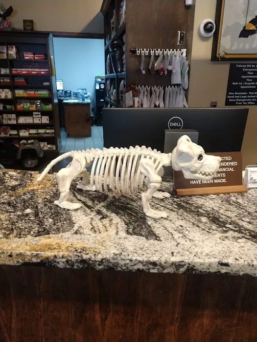 Southeastern Veterinary Hospital Pa Picture 10