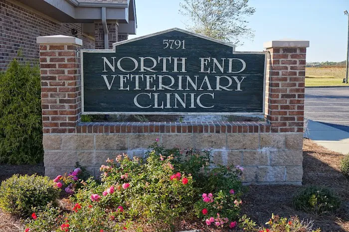 Front Porch Veterinary Clinic Picture 9
