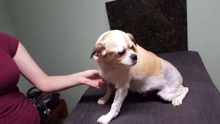 Pembroke Veterinary Hospital Picture 4