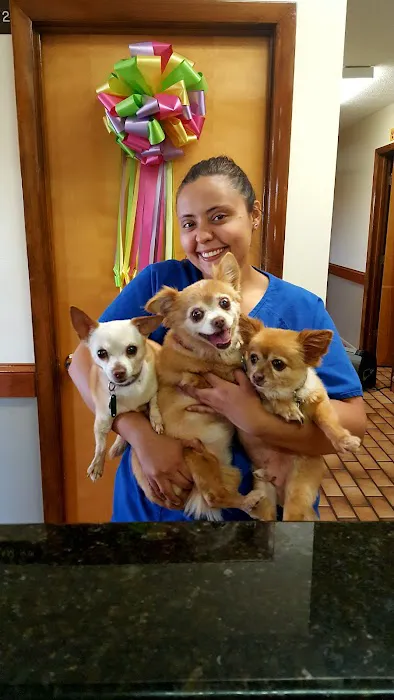 Pembroke Veterinary Hospital Picture 10
