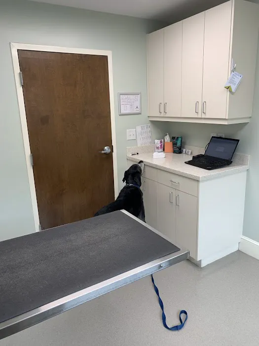 Conway Animal Hospital Picture 3