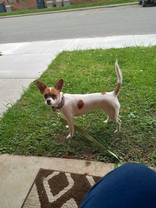 Countryside Veterinary Clinic Picture 4