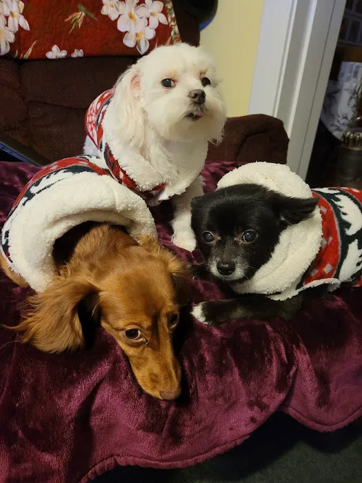 Tri-County Animal Clinic Picture 2