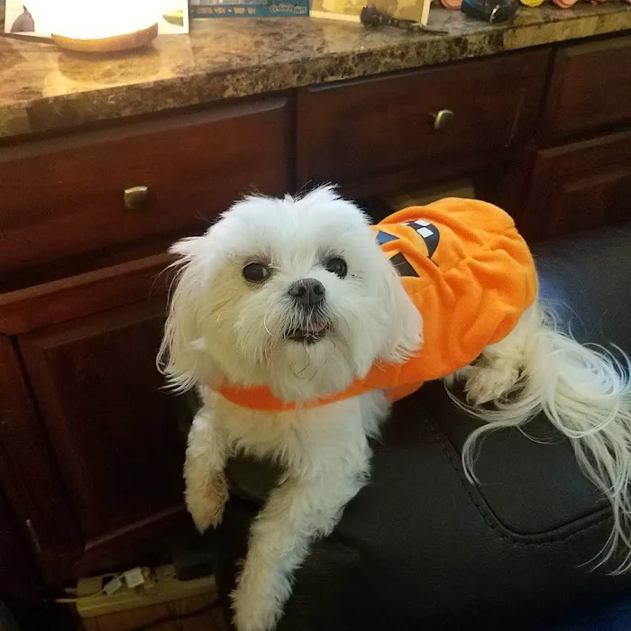 Tri-County Animal Clinic Picture 7