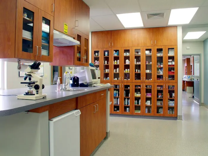 Shallowford Animal Hospital Picture 5
