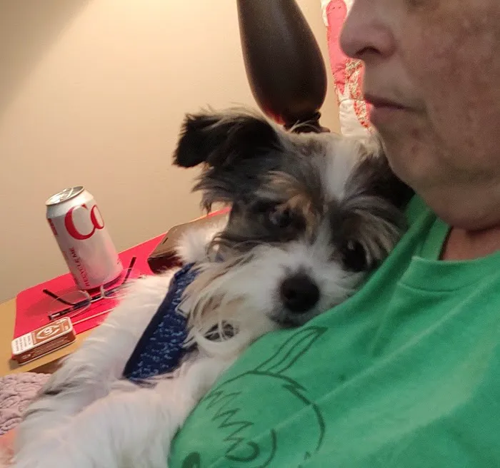 Shallowford Animal Hospital Picture 9
