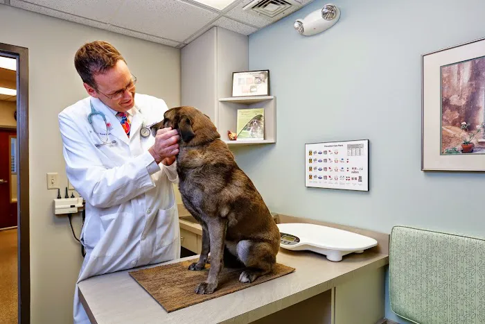 Shallowford Animal Hospital Picture 10