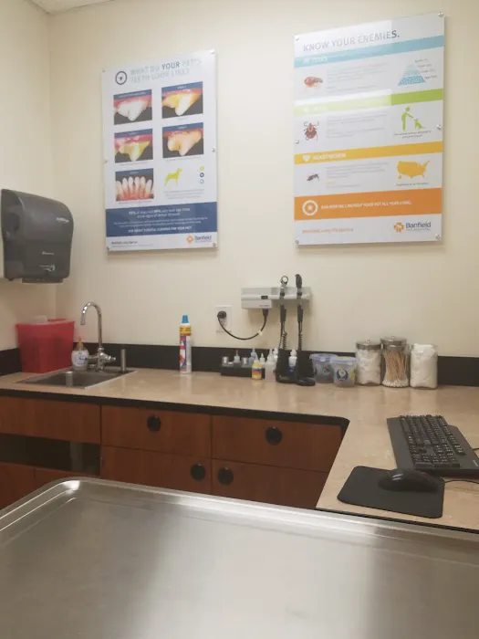 Banfield Pet Hospital Picture 1
