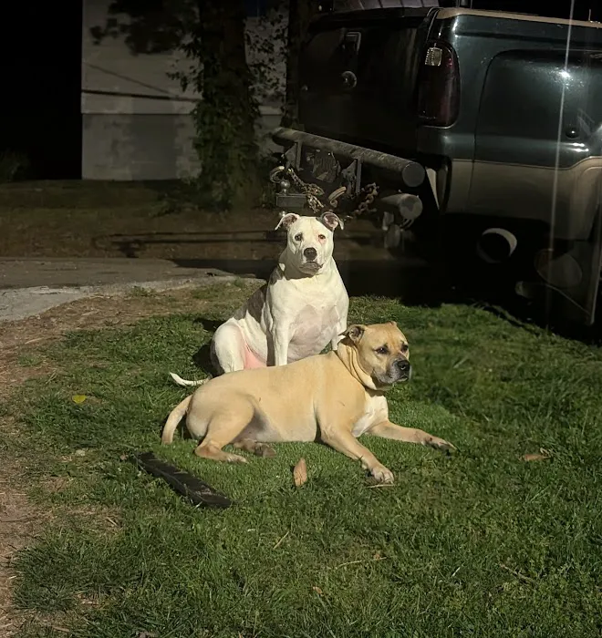 Banfield Pet Hospital Picture 6