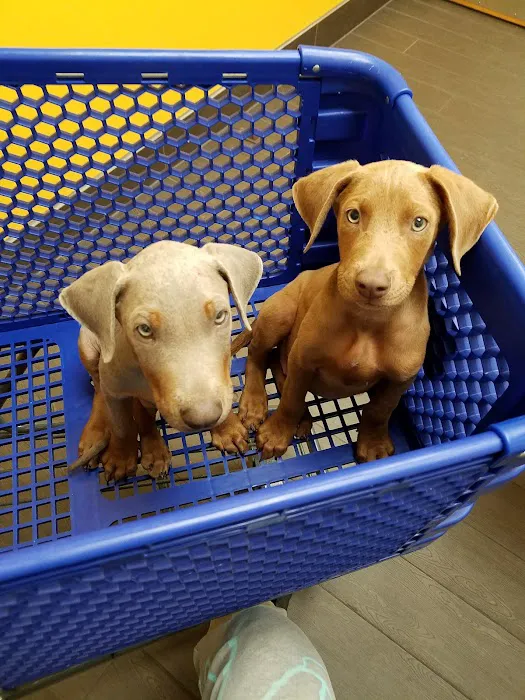 Banfield Pet Hospital Picture 3
