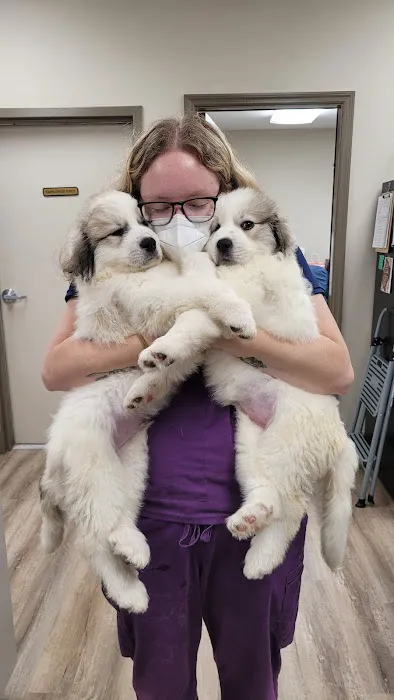 Wolftever Pet Wellness Group | East Hamilton Picture 1