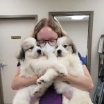 Wolftever Pet Wellness Group | East Hamilton