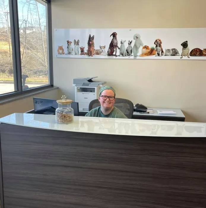 Wolftever Pet Wellness Group | East Hamilton Picture 7