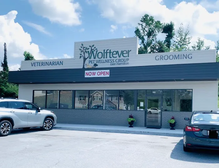 Wolftever Pet Wellness Group | East Hamilton Picture 9