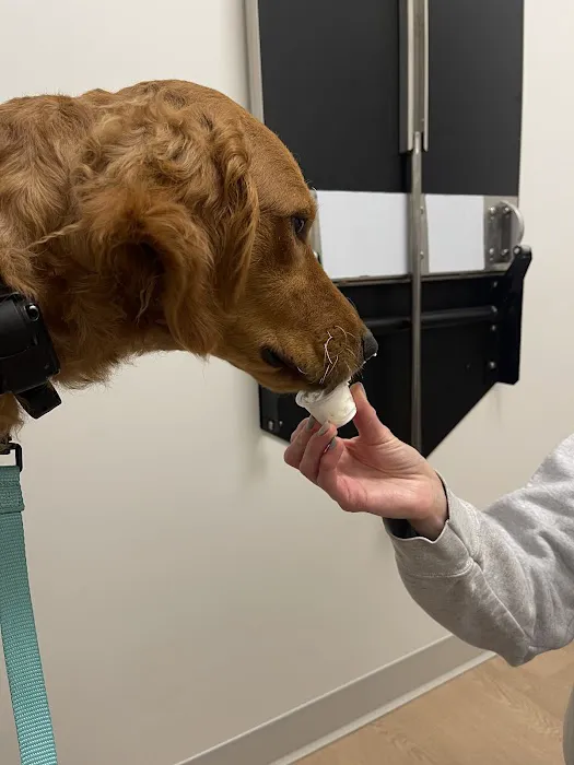 Highland Veterinary Center Picture 2