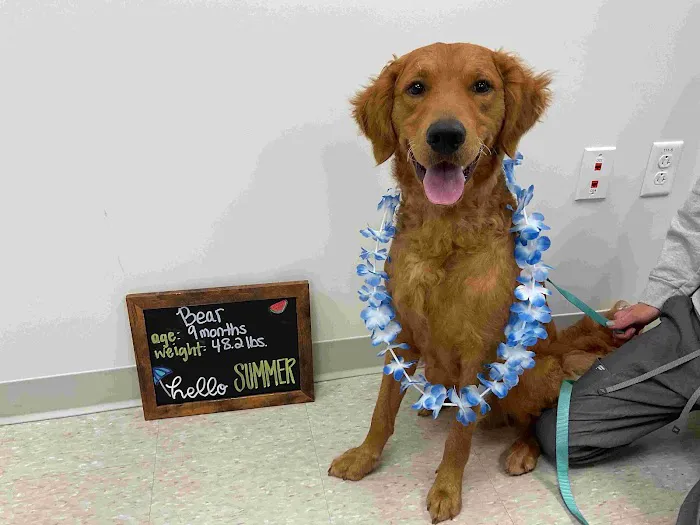 Highland Veterinary Center Picture 3