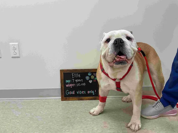 Highland Veterinary Center Picture 1