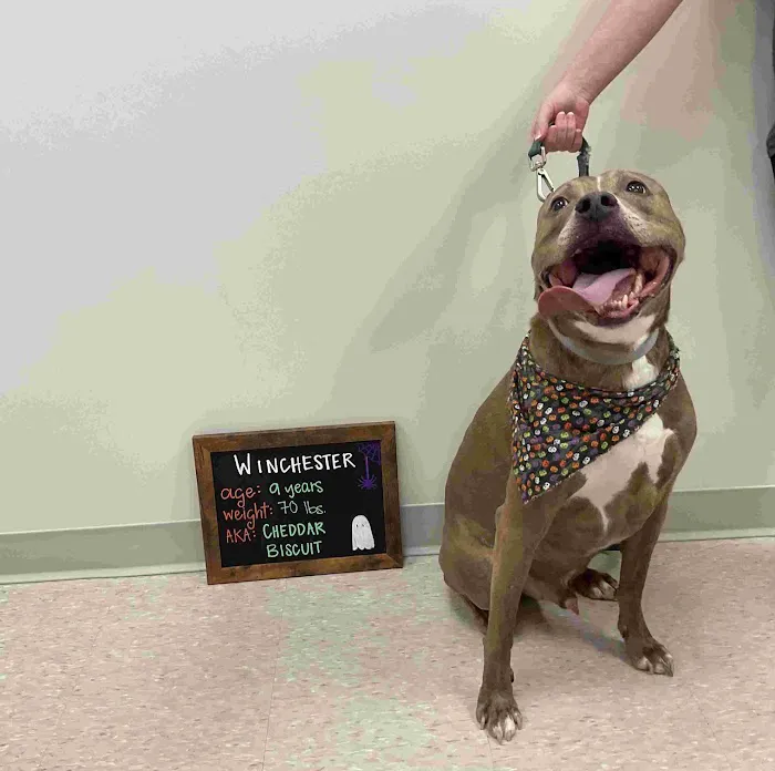 Highland Veterinary Center Picture 10